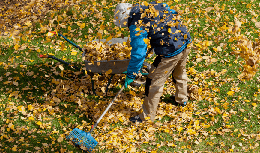 A Helping Hand Pressure Washing and Lawn Care